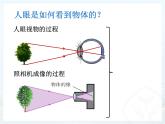 5.4  眼睛和眼镜（课件）2021-2022学年人教版物理八年级上册(共16张PPT)