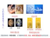 初中物理人教版八年级上册 第六章质量与密度  复习课件(共22张PPT)