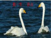10-1浮力课件-2021-2022学年人教版八年级物理下册(共14张PPT)