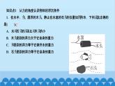 人教版物理八年级下册 第十章　浮力 第3节　物体的浮沉条件及应用第1课时　物体的浮沉条件 习题课件(共14张PPT)