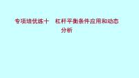 人教版八年级下册12.1 杠杆习题课件ppt