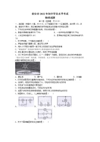 2022年山东省泰安市中考物理真题试卷(无答案)