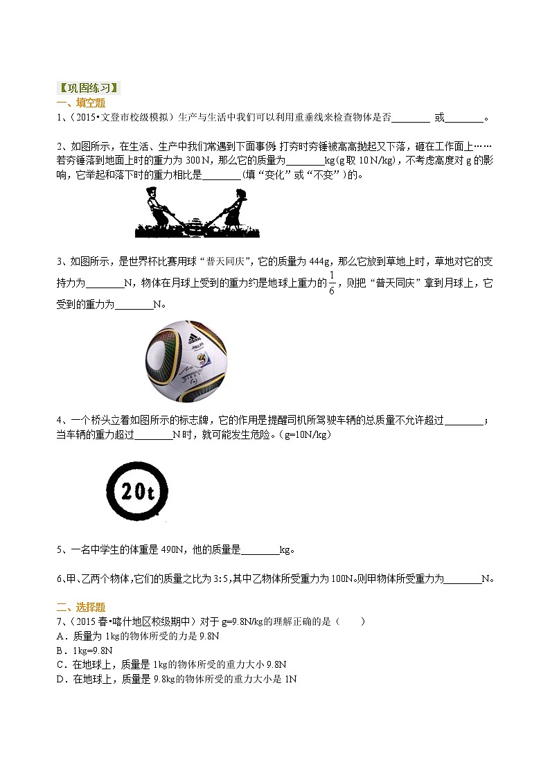 重力（提高） 巩固练习01