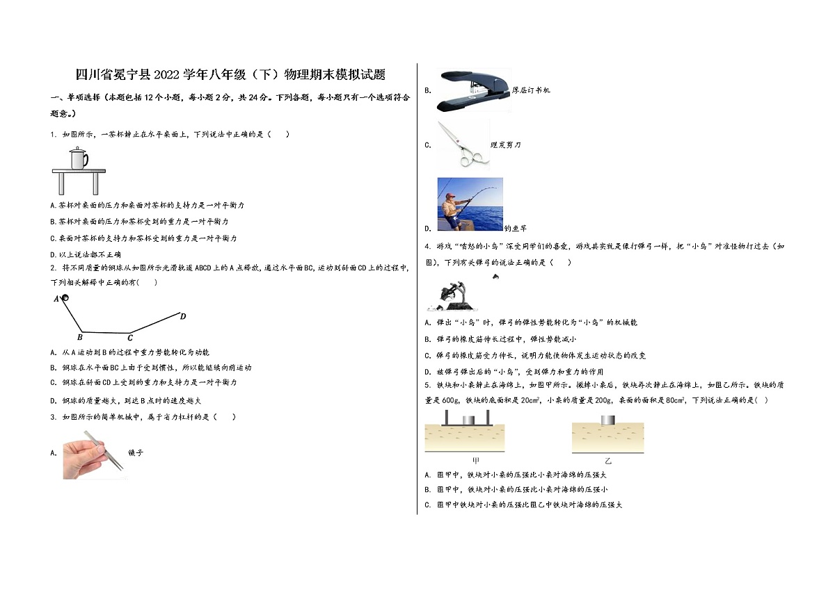 四川省冕宁县2022学年八年级（下）物理期末模拟试题第1页
