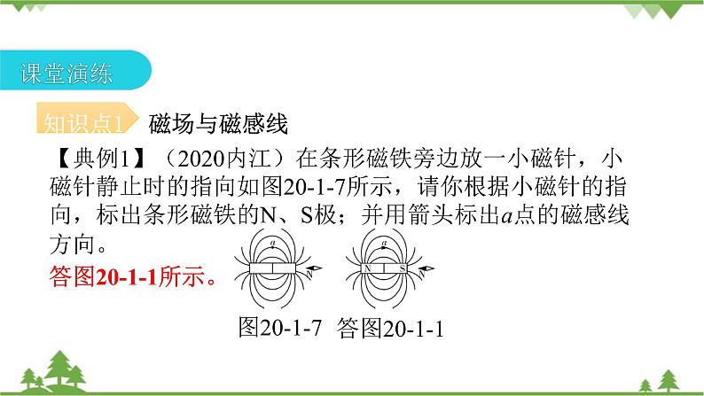 人教版 初中物理九年级全册 第二十章 第1节磁现象磁场第2课时磁场 习题课件(共20张PPT)第7页