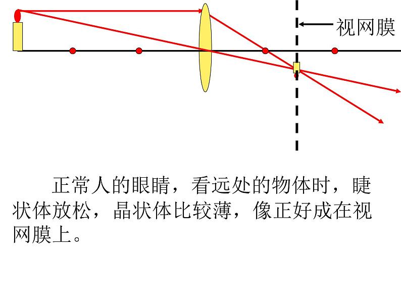 粤沪版物理八年级上册 3.7 眼镜与光学仪器 课件第2页