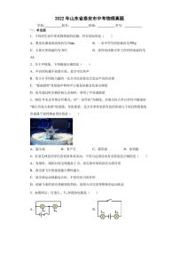 【中考真题】2022年山东省泰安市中考物理试卷（附答案）