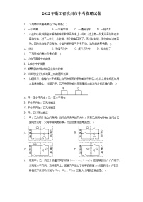 2022年浙江省杭州市中考物理试卷（含答案解析）