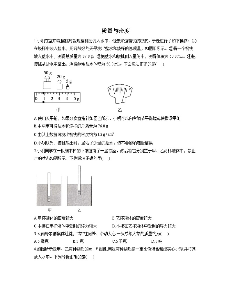 人教版八年级物理下册力学专项练习 质量与密度第1页