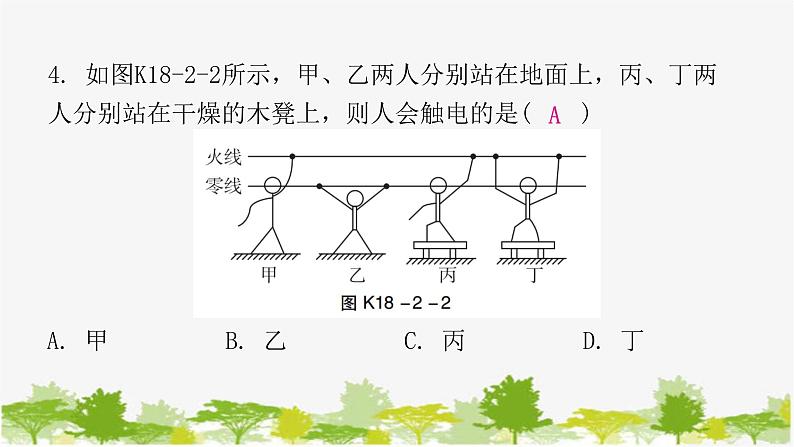 沪粤版九年级下册物理 18.2怎样用电才安全 习题课件第5页