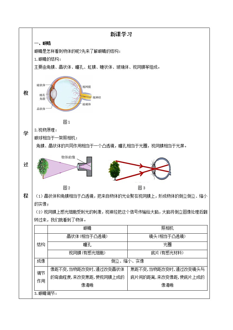 5.4 眼睛和眼镜（教学设计）-2021-2022学年八年级物理上册同步精品课堂（人教版）第2页