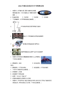 2022年湖北省武汉市中考物理试卷（含答案解析）