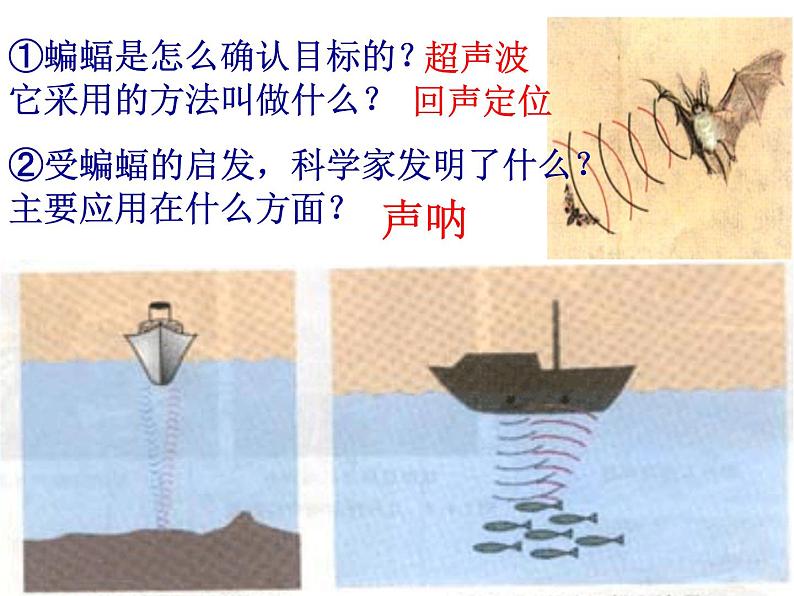 2022年人教版八年级物理上册第2章第3节声的利用课件 (2)第5页