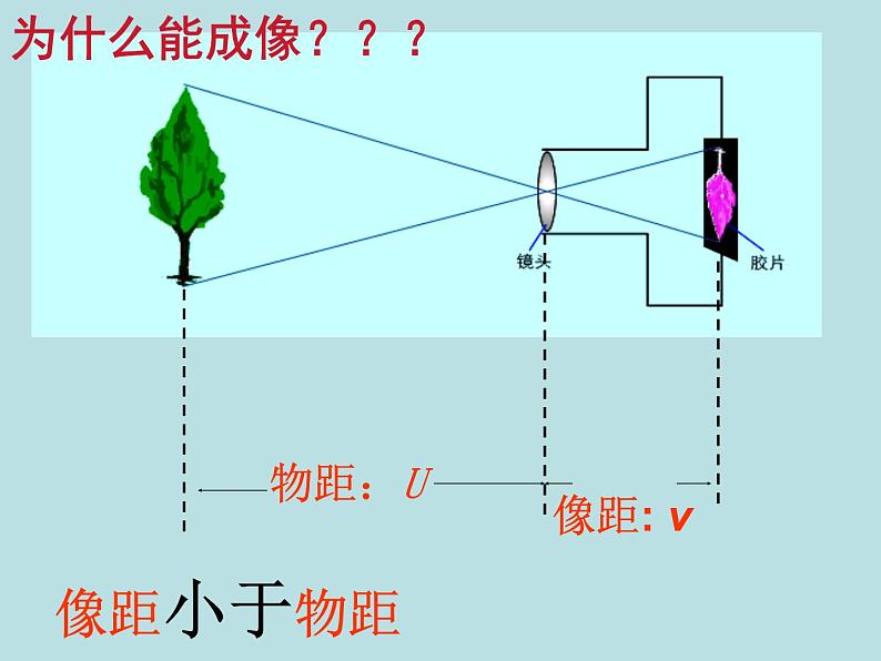 2022年人教版八年级物理上册第5章第2节生活中的透镜课件 (5)第4页