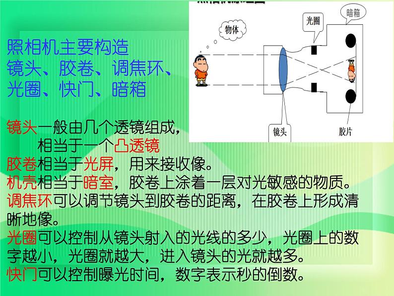 2022年人教版八年级物理上册第5章第2节生活中的透镜课件 (4)06