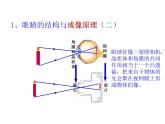 2022年人教版八年级物理上册第5章第4节眼睛和眼镜课件 (2)