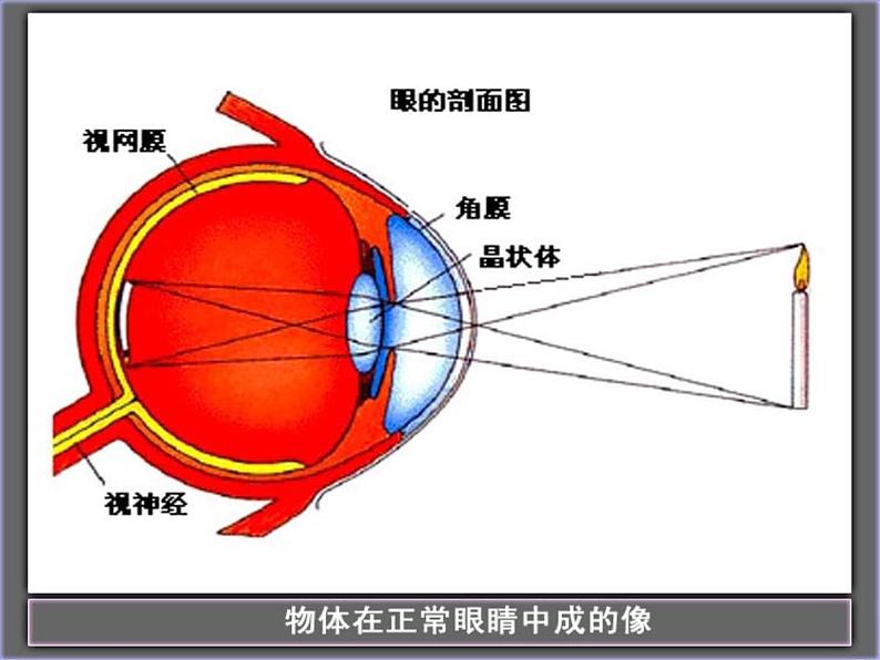 2022年人教版八年级物理上册第5章第4节眼睛和眼镜课件 (1)第8页