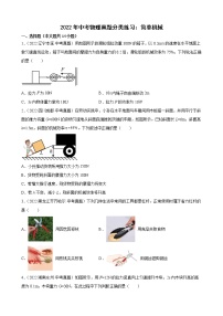 2022年中考物理真题分类练习：简单机械