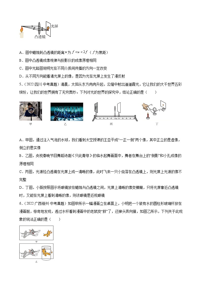 2022年中考物理真题分类练习：透镜及其应用第2页