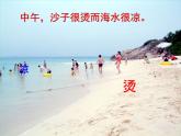 苏科初中物理九上《12.3-物质的比热容》PPT课件-(4)
