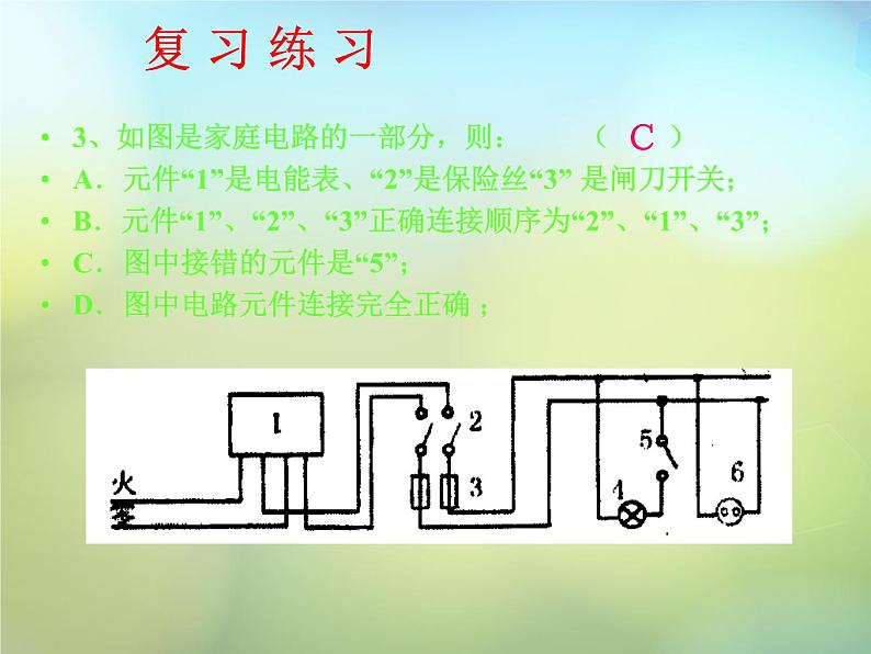 苏科初中物理九下《15.4家庭电路与安全用电》PPT课件-(2)第5页