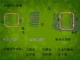 粤教沪科初中物理八上《4.5-水循环与水资源》PPT课件-(4)