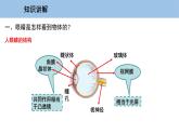 3.7 眼睛與光學儀器-粵滬版物理八年級上冊（課件+素材）