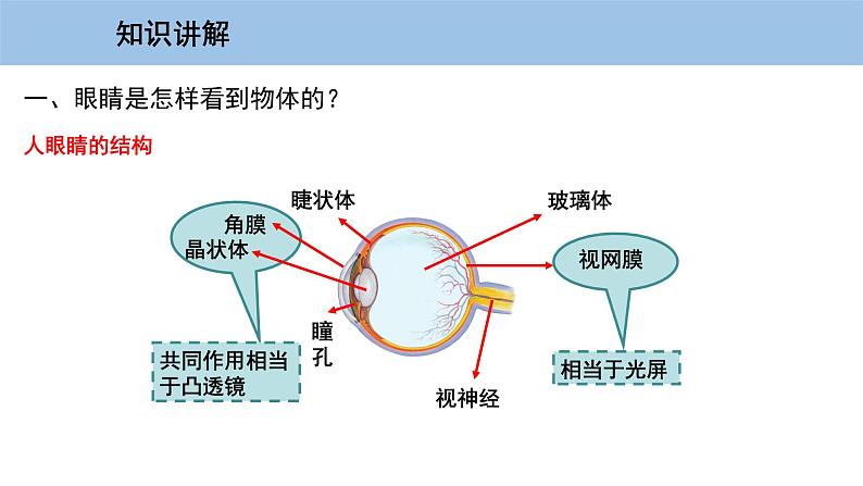 3.7 眼睛与光学仪器-粤沪版物理八年级上册（课件+素材）04