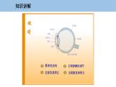 3.7 眼睛与光学仪器-粤沪版物理八年级上册（课件+素材）