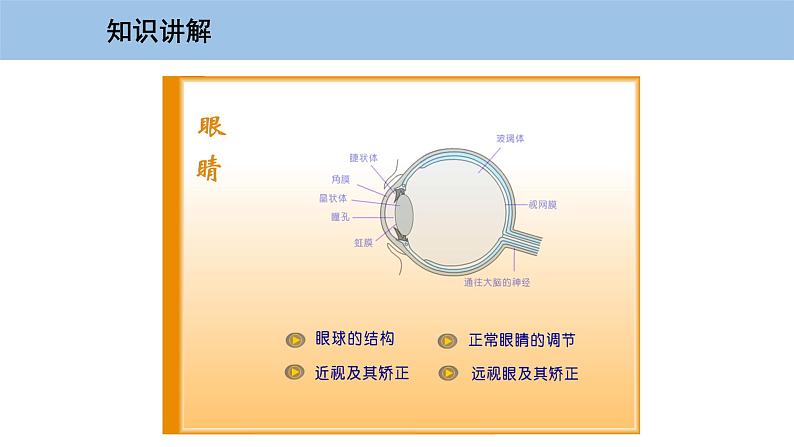 3.7 眼睛与光学仪器-粤沪版物理八年级上册（课件+素材）08