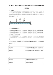 06光学、声学及其他-山东省各地区2022年中考物理真题分类汇编