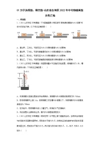 01力学选择题、填空题-山东省各地区2022年中考物理真题分类汇编