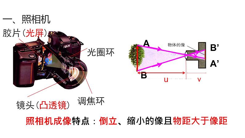 初中 初二 物理 生活中的透镜  课件第3页