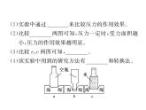 八年级物理下册(部编版)教学课件小专题（3）压强的实验探究