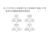 八年级物理下册(部编版)教学课件进阶测试7