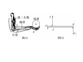 八年级物理下册(部编版)教学课件小专题（7）机械与人的综合计算