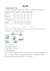 2022年中考物理真题分类汇编之电压电阻附真题答案