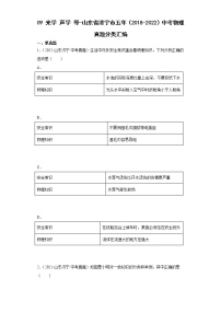 09光学声学等-山东省济宁市五年（2018-2022）中考物理真题分类汇编