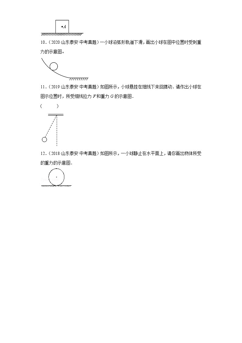 02运动和力-山东省泰安市五年（2018-2022）中考物理真题分类汇编03