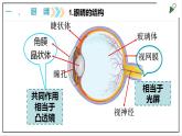 人教版八上物理5.4《眼睛和眼镜》PPT课件