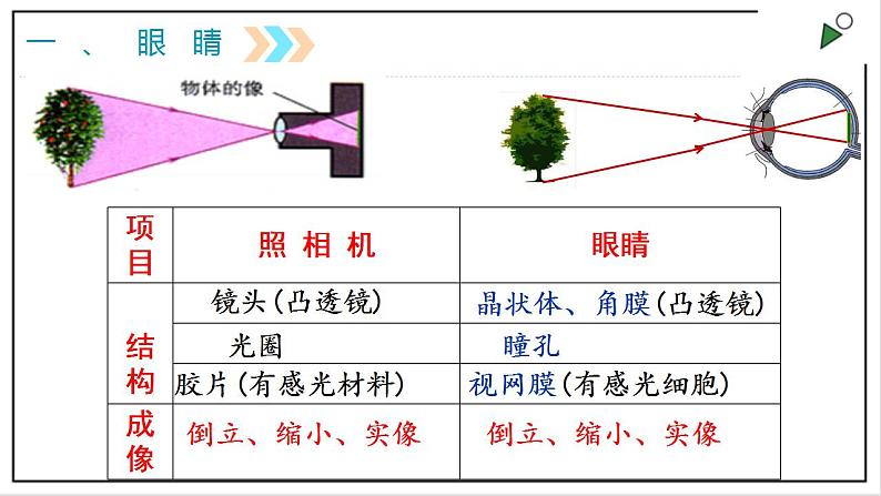 人教版八上物理5.4《眼睛和眼镜》PPT课件07