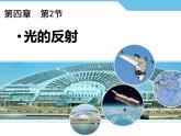 人教版物理《光的反射（第一课时）》课件