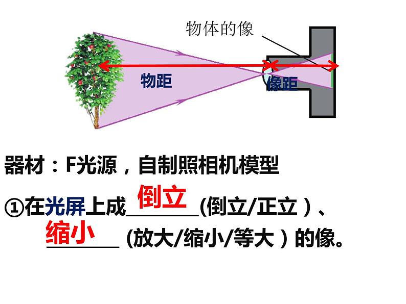 人教版物理《生活中的透镜》课件第8页