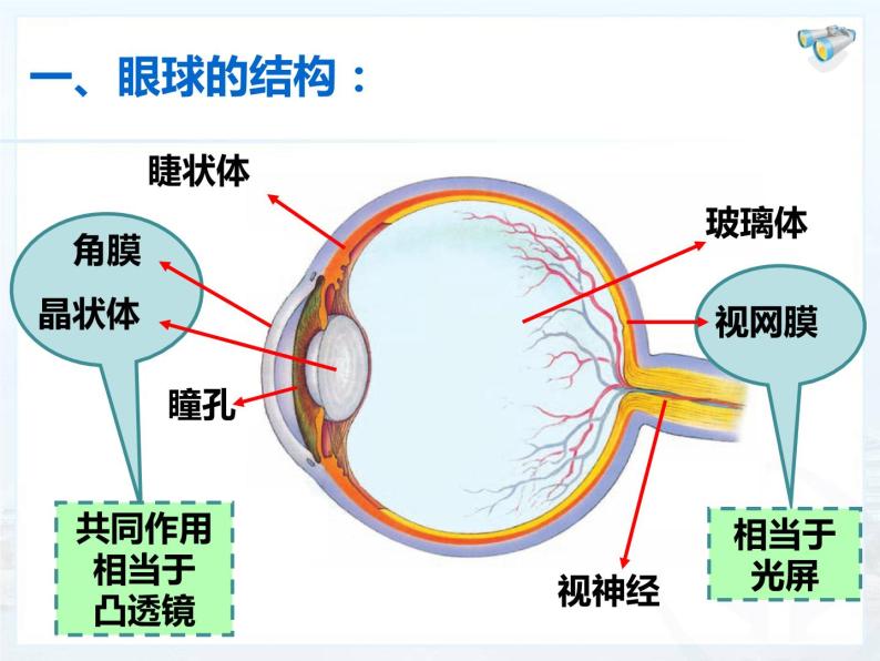 人教版物理《眼睛和眼镜》课件02