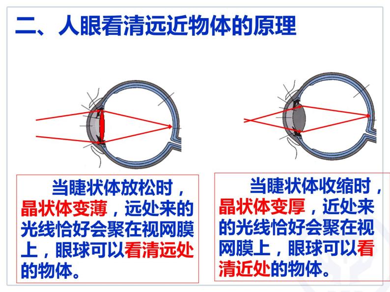 人教版物理《眼睛和眼镜》课件05