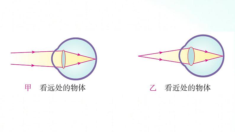 人教版物理八年级上册 5.4 眼睛和眼镜 课件+教学设计+同步练习06