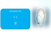 苏科版物理九年级 11.3 功 课件+同步练习