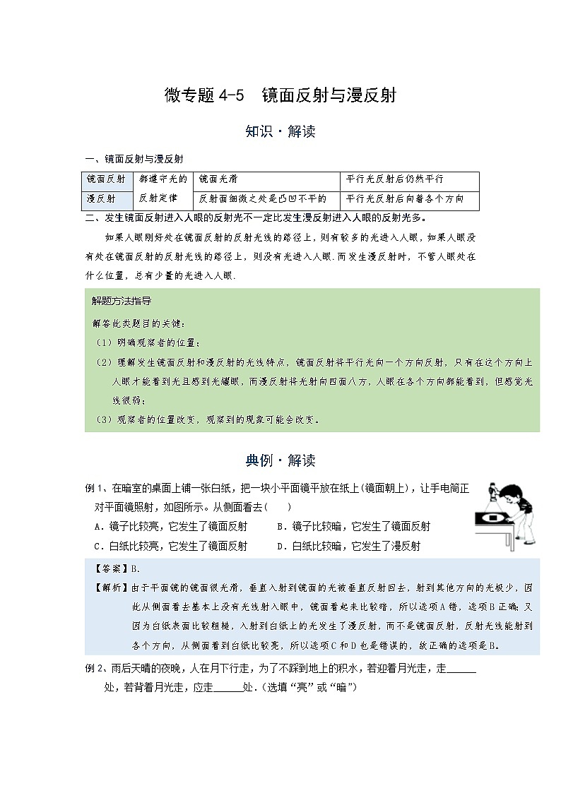 [13393448]物理中考微专题-光现象-4-5  镜面反射与漫反射第1页