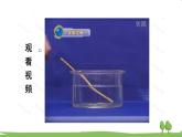 沪科版物理八年级上册4.3 光的折射 PPT课件