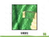 沪科版物理八年级上册4.3 光的折射 PPT课件